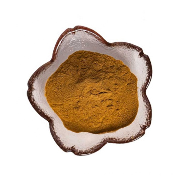 factory supply high quality agaricus blazei murille extract powder